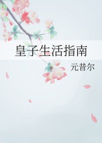��������ָ��