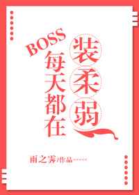 BOSSÿ�춼��װ����
