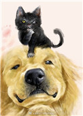����è����ѧ����
