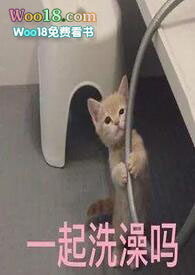 �����ɡ����컹������ϻ���Сʦ�ø����(N