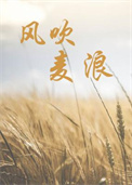 �紵����