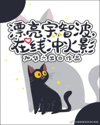 Ư�����ǲ������߱�����