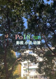 ����ѭ�������ºϼ���