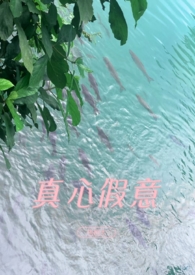���ļ��⣨�ִ�1V1����h��