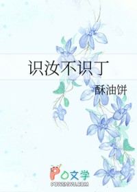 ʶ�겻ʶ��
